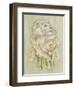 Daniel Lion Roar-Camilla D'Errico-Framed Art Print