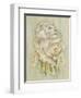 Daniel Lion Roar-Camilla D'Errico-Framed Art Print