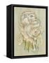 Daniel Lion Roar-Camilla D'Errico-Framed Stretched Canvas