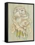 Daniel Lion Roar-Camilla D'Errico-Framed Stretched Canvas