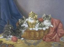 Playful Kittens-Daniel Merlin-Mounted Giclee Print