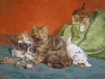 Playful Kittens-Daniel Merlin-Stretched Canvas