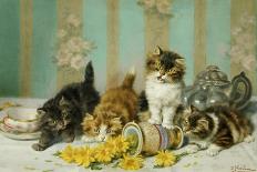 Playful Kittens-Daniel Merlin-Stretched Canvas