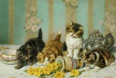 Playful Kittens-Daniel Merlin-Stretched Canvas