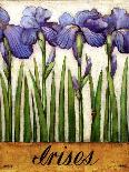 Irises-Daniel Patrick Kessler-Giclee Print