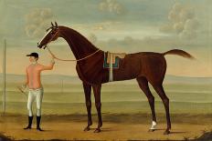 A Bay Racehorse with his Jockey on a Racecourse-Daniel Quigley-Framed Stretched Canvas