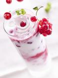 Redcurrants Falling into a Layered Yogurt Dessert-Daniel Reiter-Stretched Canvas