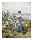 Reverie, 1866-Daniel Ridgeway Knight-Premium Giclee Print