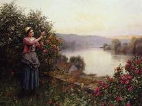 A Pet Rosebush-Daniel Ridgway Knight-Giclee Print