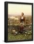 Essential Black