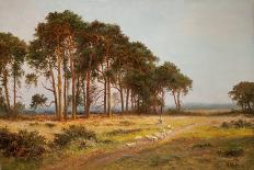 Evening at Bletchworth-Daniel Sherrin-Stretched Canvas