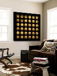 Golden Spots White-Daniel Stanford-Loft Art