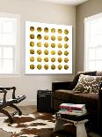 Golden Spots Black-Daniel Stanford-Loft Art