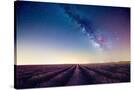 Stretched Canvas
