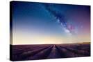 Stretched Canvas