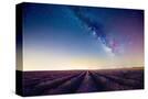 Stretched Canvas