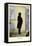 Daniel Webster-William H. Brown-Framed Stretched Canvas