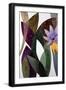 Black Frame