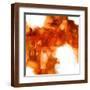 Brown Frame