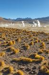 Desert Lagoon, San Pedro De Atacama, Antofagasta Region, Chile-Daniele Falletta-Stretched Canvas