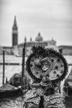 Italy, Friuli Venezia Giulia, Bee on a Sunflower-Daniele Pantanali-Laminated Photographic Print