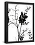 Essential Black