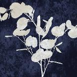 Nature White on Blue V-Danielle Carson-Art Print