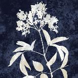 Nature White on Blue I-Danielle Carson-Art Print