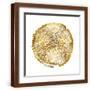 Brown Frame