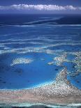 Aerial View of Great Barrier Reef, Queensland, Australia-Danielle Gali-Photographic Print