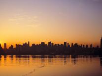 Manhattan Skyline, New York City, USA-Danielle Gali-Photographic Print