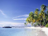 Tropical Beach and Palm Trees, Maldives, Indian Ocean-Danielle Gali-Photographic Print