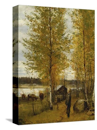Stretched Canvas Print, , large