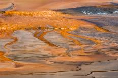 Grand Prismatic Spring, Yellowstone National Park, Wyoming-Danilo Forcellini-Photographic Print