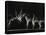 Danish Gymnasts-Gjon Mili-Stretched Canvas