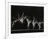 Danish Gymnasts-Gjon Mili-Framed Photographic Print