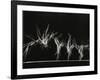 Danish Gymnasts-Gjon Mili-Framed Photographic Print