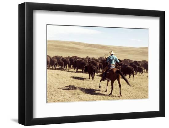 Photo, , large