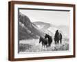 Brown Frame