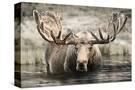 Stretched Canvas