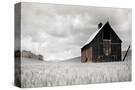 Stretched Canvas