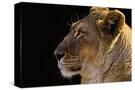 Stretched Canvas