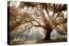 Stretched Canvas