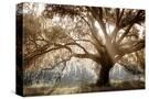 Stretched Canvas