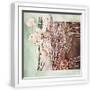 White Frame