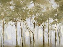 A Small Forest-Danna Harvey-Giclee Print