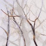 Branches of a Wish Tree D-Danna Harvey-Giclee Print
