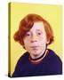 Danny Bonaduce-null-Stretched Canvas