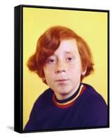 Danny Bonaduce-null-Framed Stretched Canvas