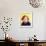 Danny Bonaduce-null-Framed Photo displayed on a wall